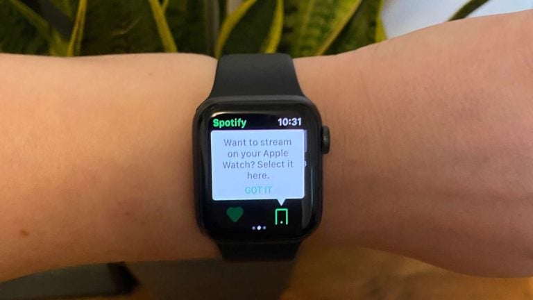 Spotify no Apple Watch. Imagem: Catie Keck (Gizmodo)