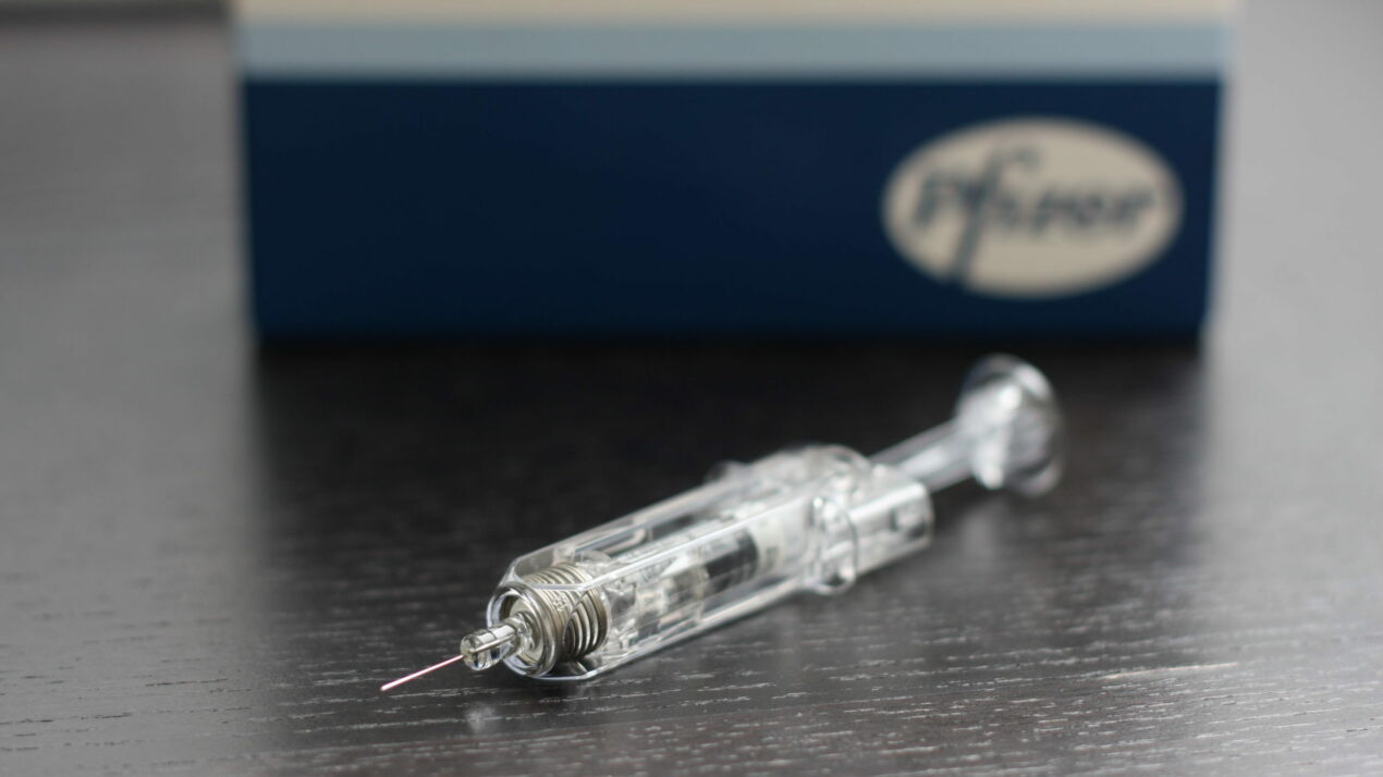 Pfizer vacina COVID-19. Imagem: Kojach (Flickr)