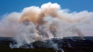 Incêndio em florestas. Imagem: Mateus Morbuck (Getty Images)