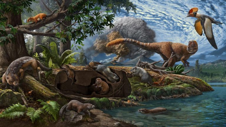 Paleontólogos descobrem mais antigo ancestral dos dinossauros