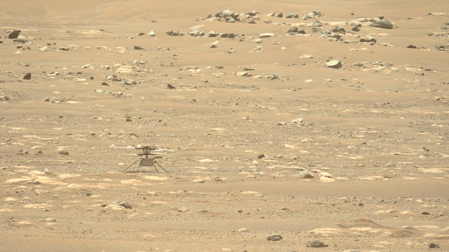 Uma imagem do helicóptero Ingenuity capturado à distância pelo rover Perseverance. Imagem: NASA/JPL-Caltech/ASU