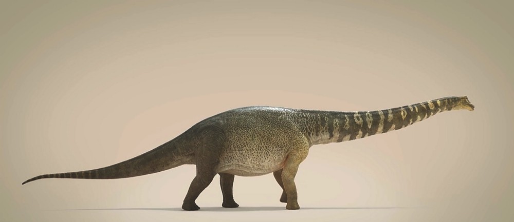 Dinossauro Titã Australiano