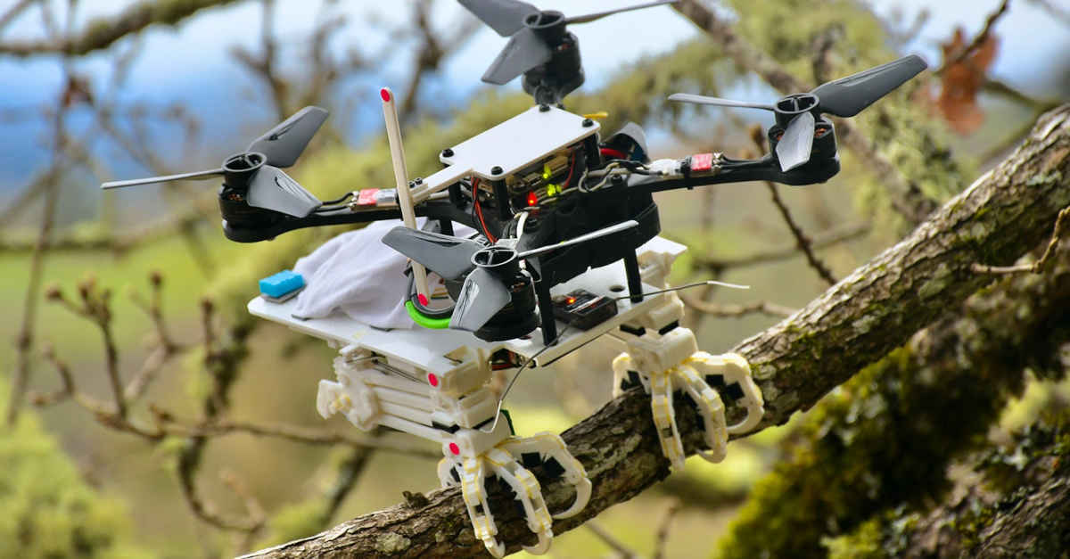 Assista ao teste deste robô pássaro numa floresta dos EUA