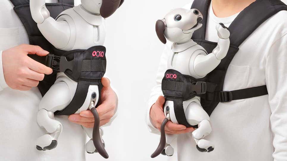 Sony cão robô