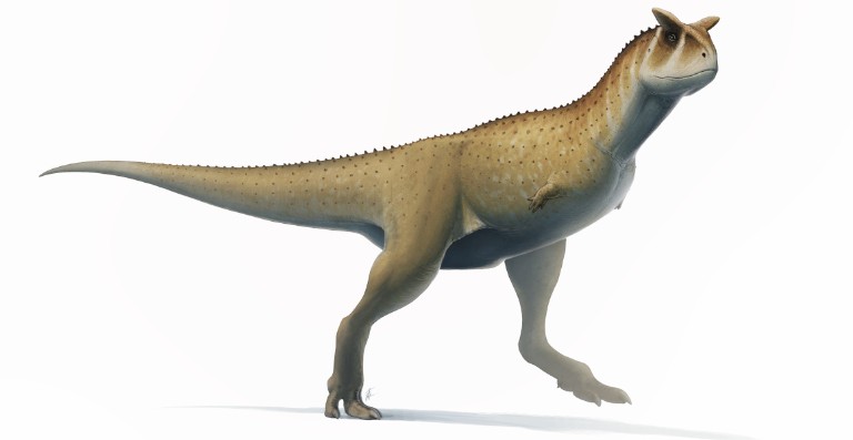 Dinossauro Argentino