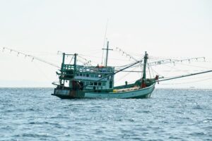 Pesca ilegal