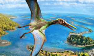 Voo Pterossauro