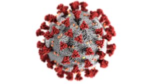 Covid Longa - A imagem de fundo branco mostra uma representação gráfica do vírus Sars-CoV-2 nas cores cinza e vermelho.