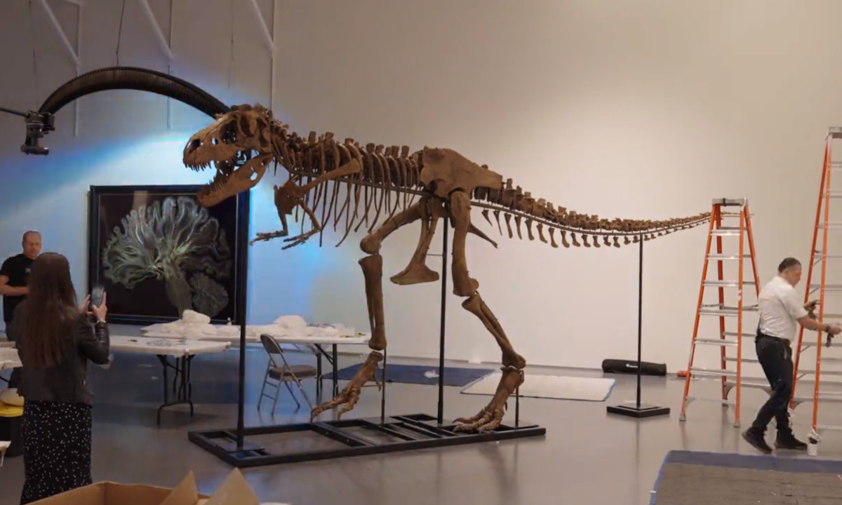 Conhecidos O jogo do Dinossauro do Google, foi projetado para durar 17  milhões de anos, com