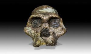Fósseis de hominídeos são 1 milhão de anos mais antigos do que se pensava