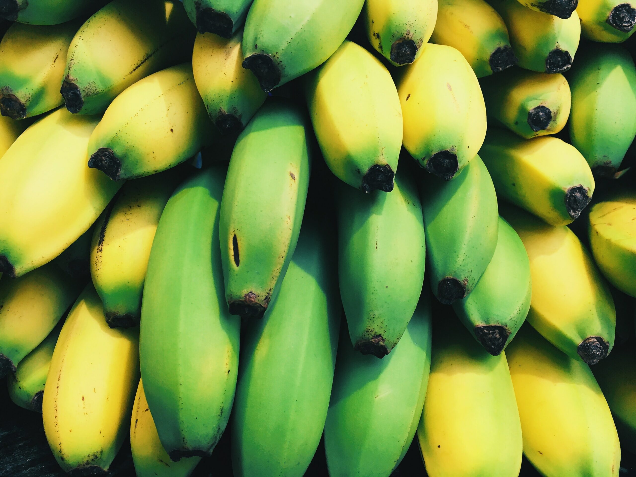 Banana pode ser arma contra o câncer de intestino - A imagem mostra uma penca de bananas maduras e verdes.
