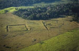 Amazônia