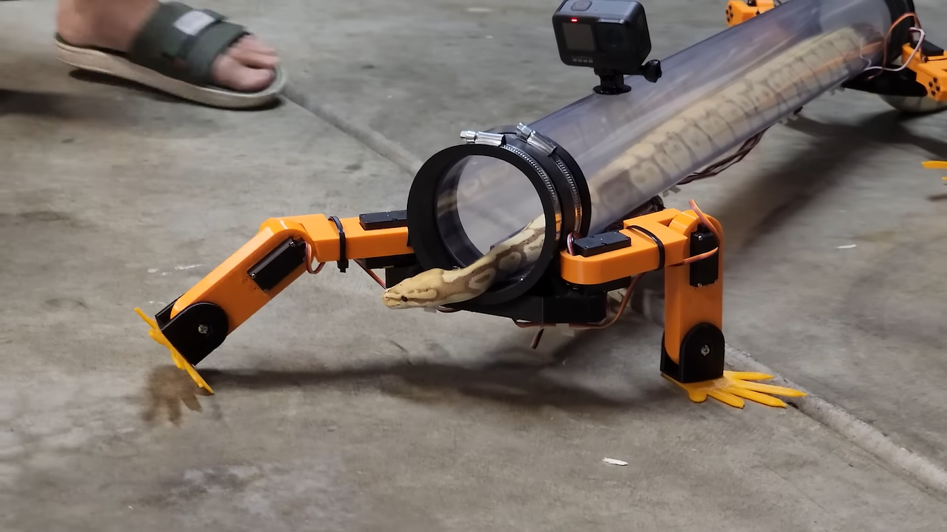 YouTuber constrói pernas robóticas para cobra em vídeo