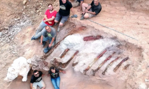 Homem pode ter encontrado maior fóssil de dinossauro da Europa em seu quintal