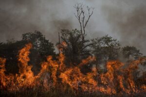 Brasil é o 2º país mais perigoso para ambientalistas no mundo, diz pesquisa