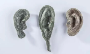 Orelhas e úteros de bronze são encontrados em fonte do Império Romano