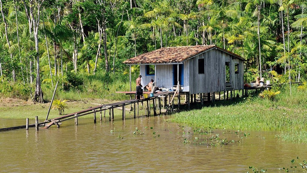 amazônia