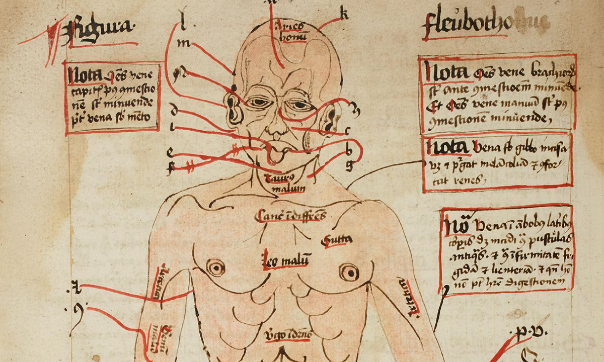 Coruja moída e vesícula de lebre: veja remédios usados na Idade Média