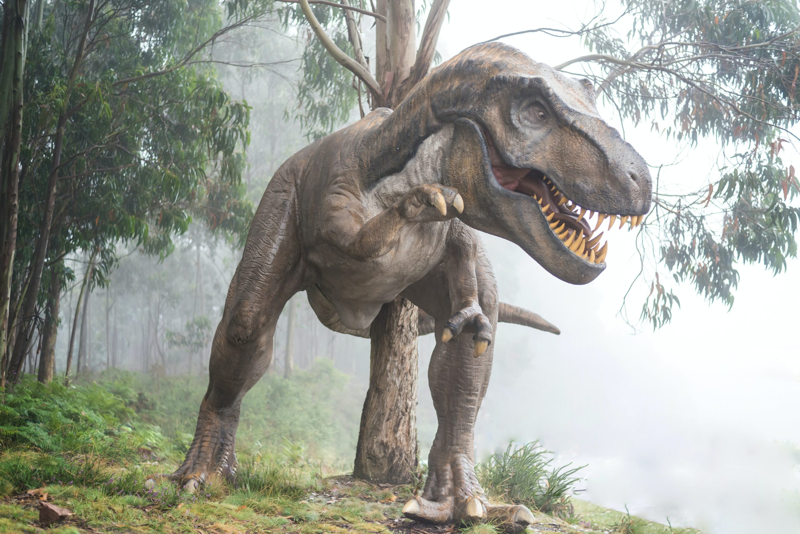 Olhos pequenos do T. rex podem ter relação com sua mordida