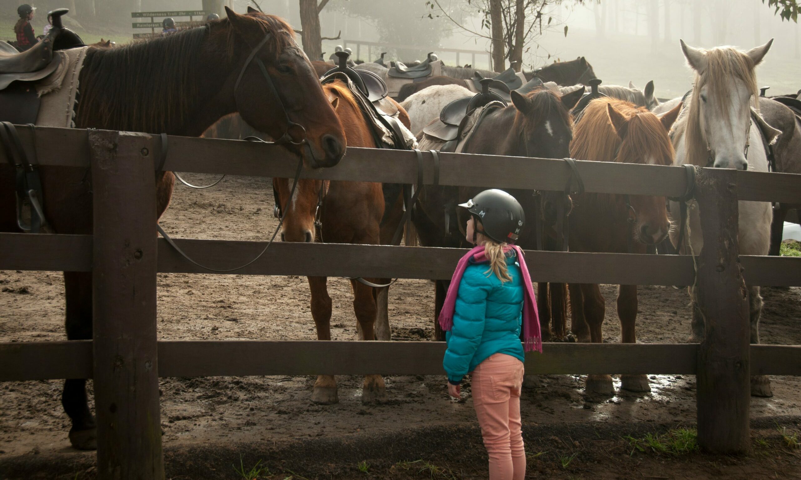 IA animais - Imagem mostra criança próxima de cavalos.