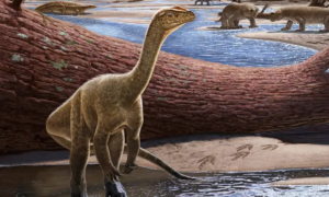 Antecessor dos saurópodes é dinossauro mais antigo já descoberto na África