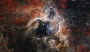 The Tarantula Nebula - Photographs by James Webb Nursery Star