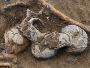 Arqueólogos israelenses encontram vestígios de ópio em cerâmica de 3.500 anos