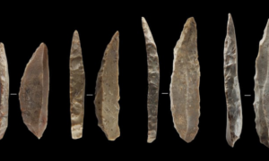 Neandertais e humanos modernos podem ter copiado ferramentas uns dos outros