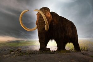 CIA apoia empresa que pretende ressuscitar mamutes extintos