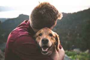 Abraçar um cachorro pode ajudar no controle das emoções