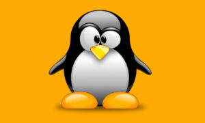 Linux 6.0 é oficialmente lançado; veja o que há de novo
