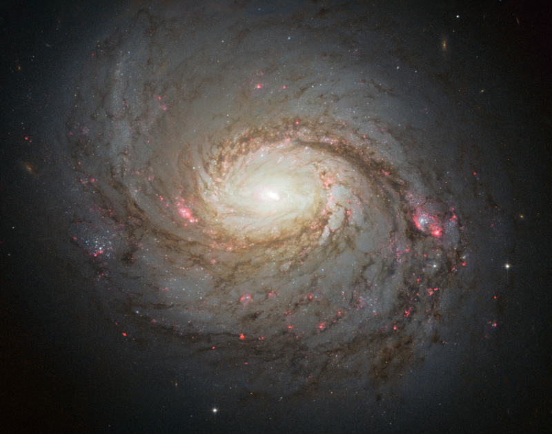 Hubble capta os belos braços espiralados da galáxia Messier 77