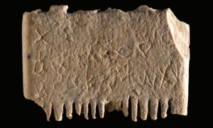 Frase alfabética mais antiga é encontrada escrita em pente de piolhos
