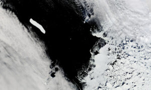Maior iceberg do mundo está prestes a derreter, diz NASA