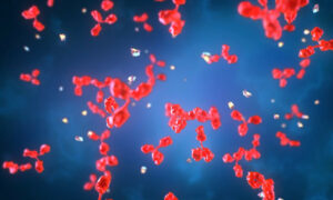 Nanorrobôs que matam câncer já passam por testes em humanos