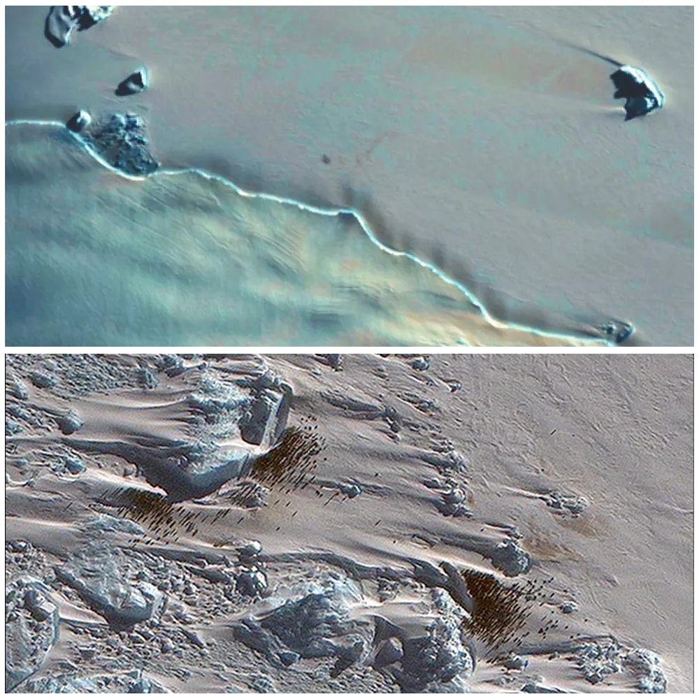 Foto de satélite encontra colônia desconhecida de pinguins na Antártica