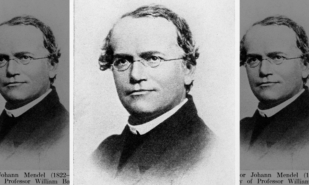 Gregor Mendel: corpo do "pai da genética" passa por teste de DNA; saiba o porquê