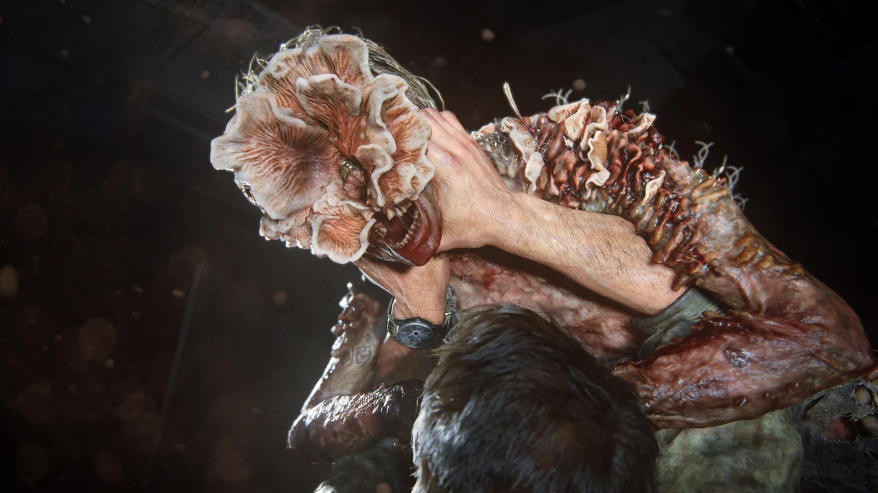 The Last of Us: 'fungo zumbi' da série da HBO é real? Sim e pode ser achado  em suplementos de saúde - Estadão