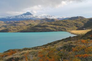 Identificados fósseis de megarraptores na Patagônia do Chile