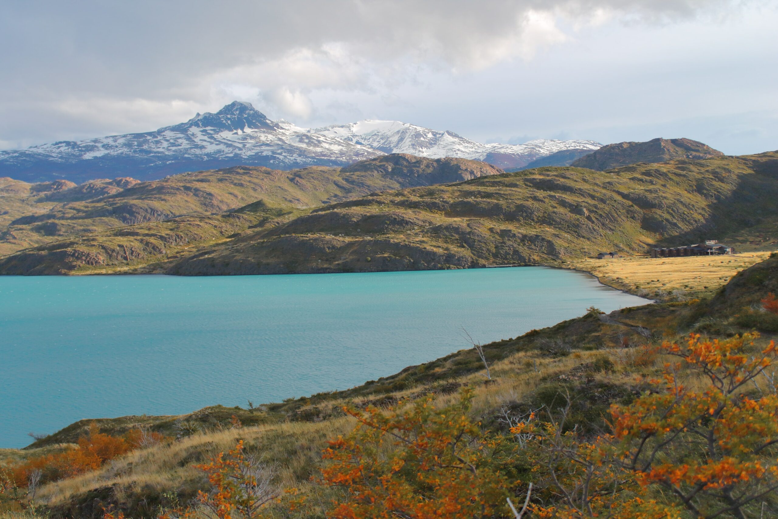Fósiles de Megaraptor identificados en la Patagonia chilena