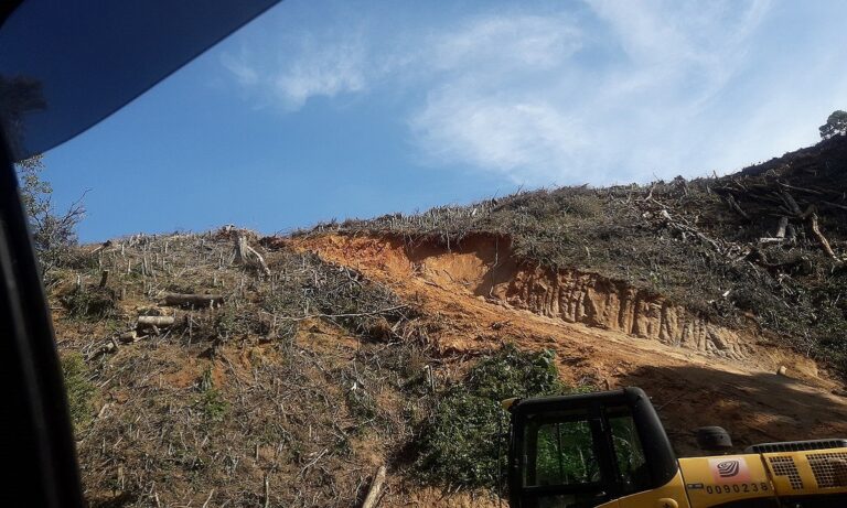 Desmatamento da Mata Atlântica equivale a 75 campos de futebol por dia