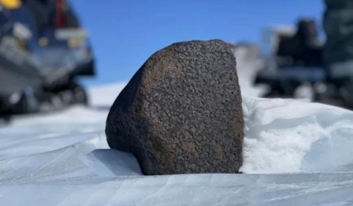 meteorito antartida