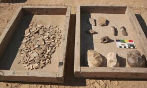 Escavações em Israel encontram ovos mexidos de avestruz de até 4 mil anos
