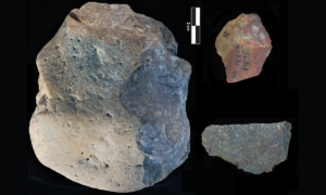 Hominídeos primitivos podem ter usado ferramentas de pedra sofisticadas