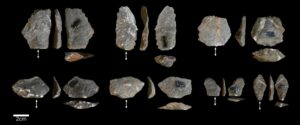 Encontradas semelhanças em ferramentas usadas por macacos e primeiros humanos