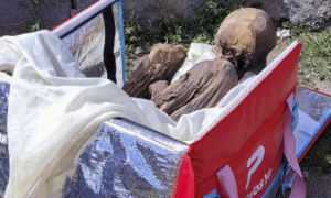 Múmia de 800 anos é encontrada em mochila de delivery no Peru