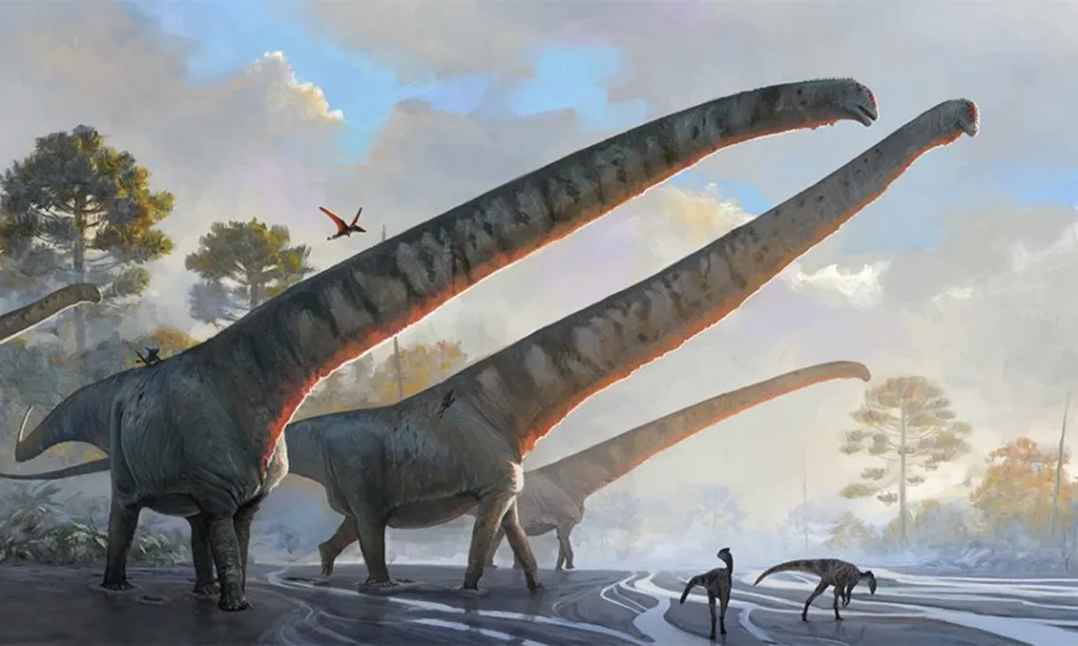 Fósseis na China revelam dinossauro de 70 toneladas