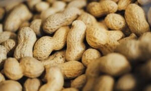 O que é a alergia ao amendoim e como é o novo tratamento