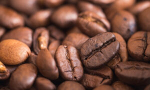 Certificação ambiental estimula o cumprimento da lei em fazendas de café