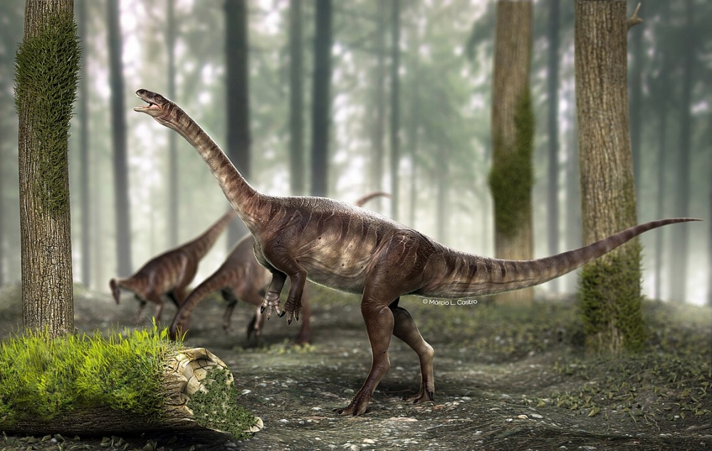 Conhecendo os Incríveis Dinossauros: Gigantes
